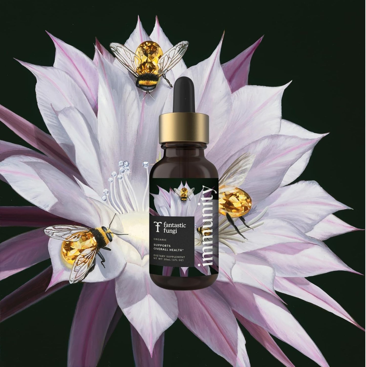 Organic Mushroom Immunity Elixir with Turkey Tail, Chaga, Maitake, Elderberry & Astragalus Extract - Liquid Drops for Immune Health - 30 Servings, 1 fl oz