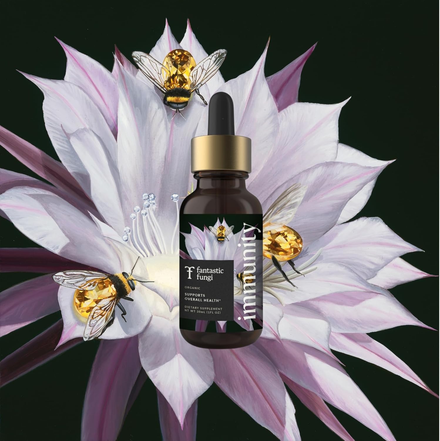 Organic Mushroom Immunity Elixir with Turkey Tail, Chaga, Maitake, Elderberry & Astragalus Extract - Liquid Drops for Immune Health - 30 Servings, 1 fl oz