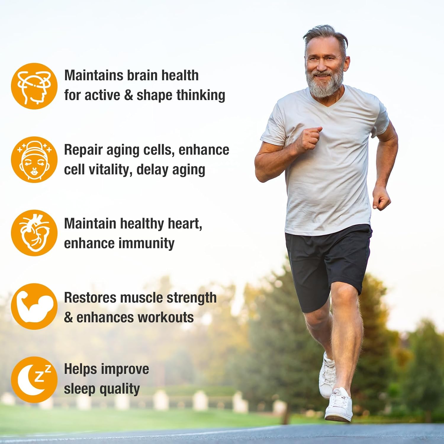 Organic NAD+ Supplement with NR and Resveratrol Quercetin for Healthy Aging and Brain Function - 2 Pack