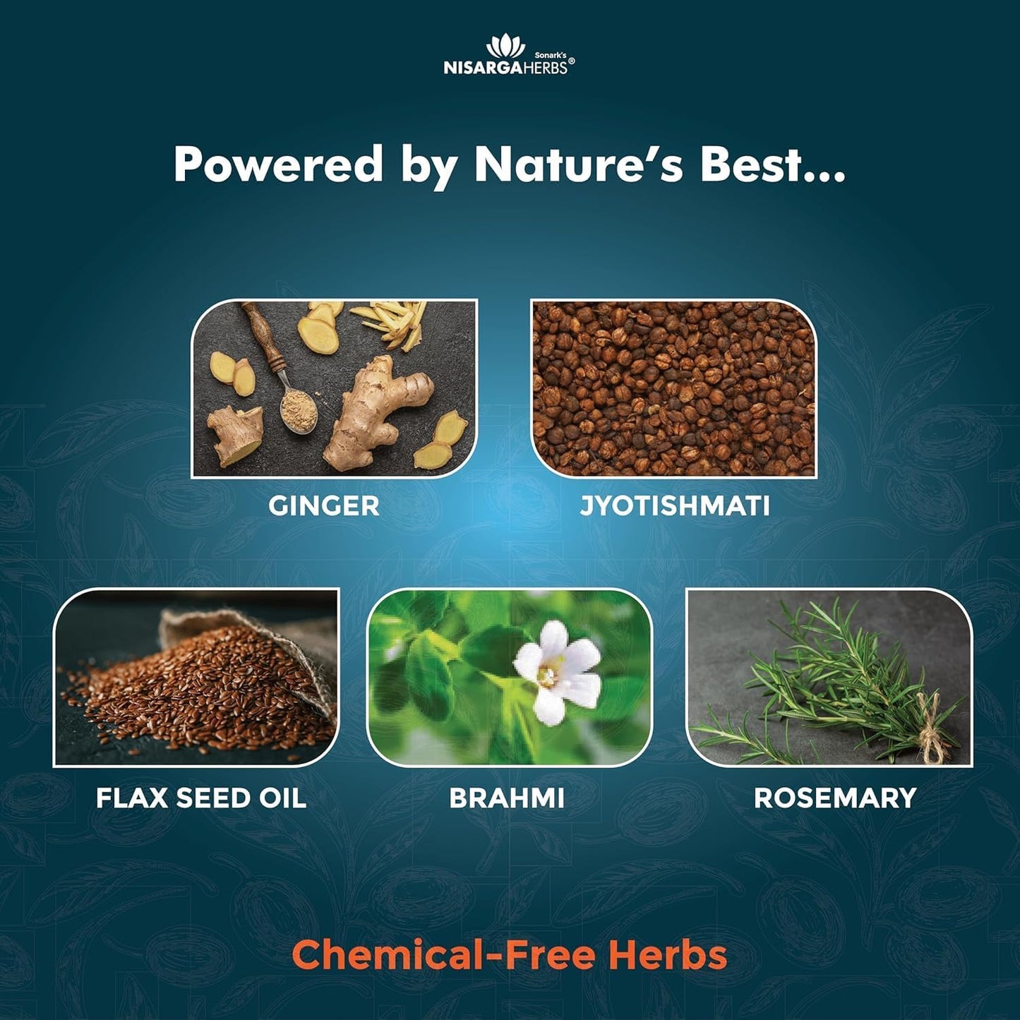 Organic Nuroad.e Soft Gel Capsules for Memory Support, Age & Stress-Related Memory Loss - Ayurvedic & Natural - 30 Capsules