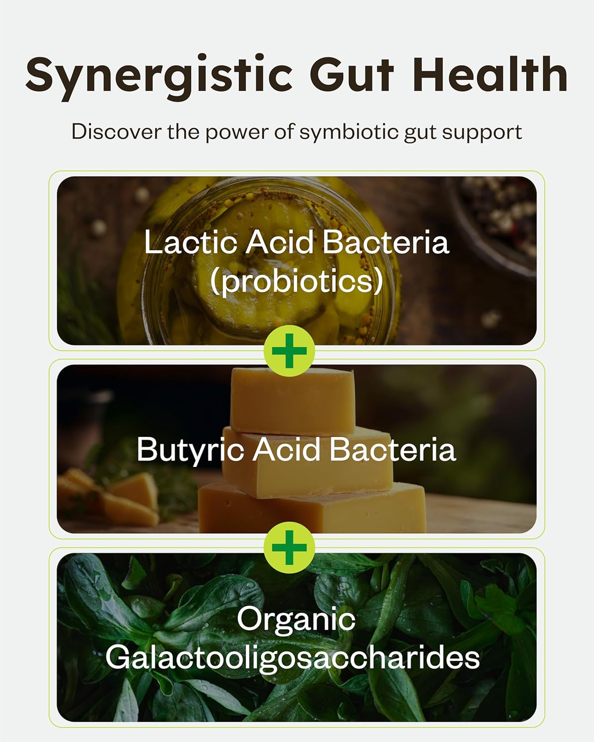 Organic Prebiotic Family Probiotic Mini Tablets (84ct, 28 Days) - Chewable Synbiotic Supplement for Gut Health & Digestion