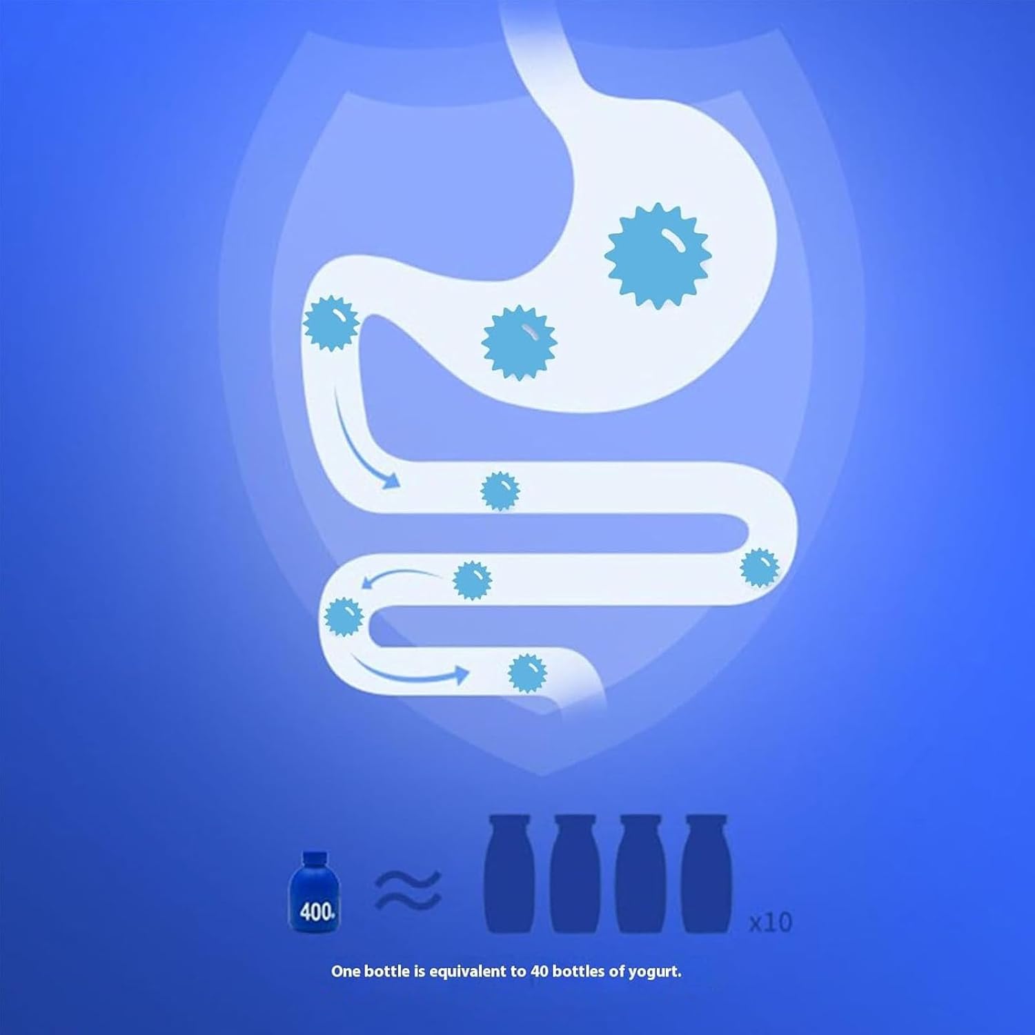 Organic Prebiotic Probiotics 40 Billion CFU for Improved Gastrointestinal Digestion in Men and Women