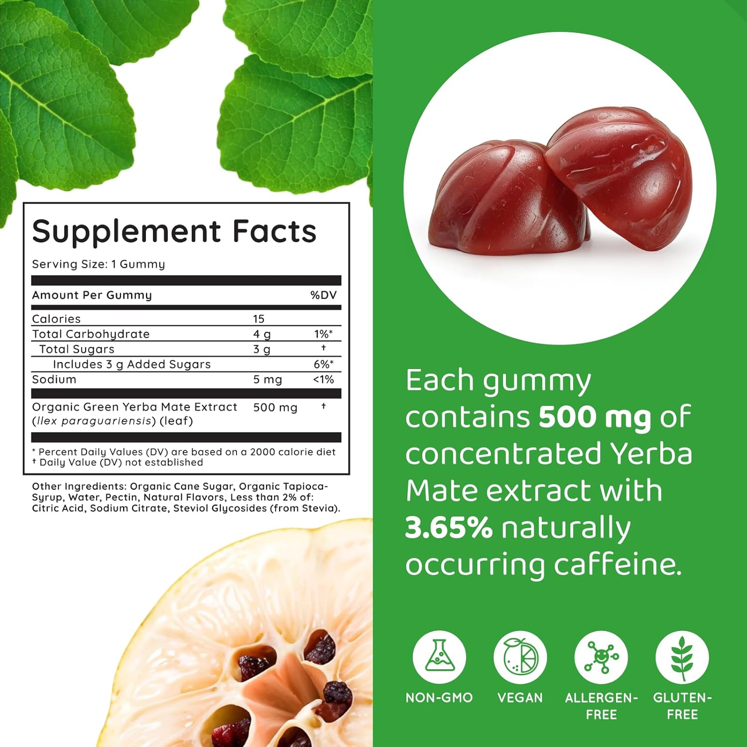 Organic Quince Yerba Mate Gummies - Caffeine-Free, Vegan, Non-GMO, Gluten-Free, Kosher. 50 Delicious Supplement Gummies.