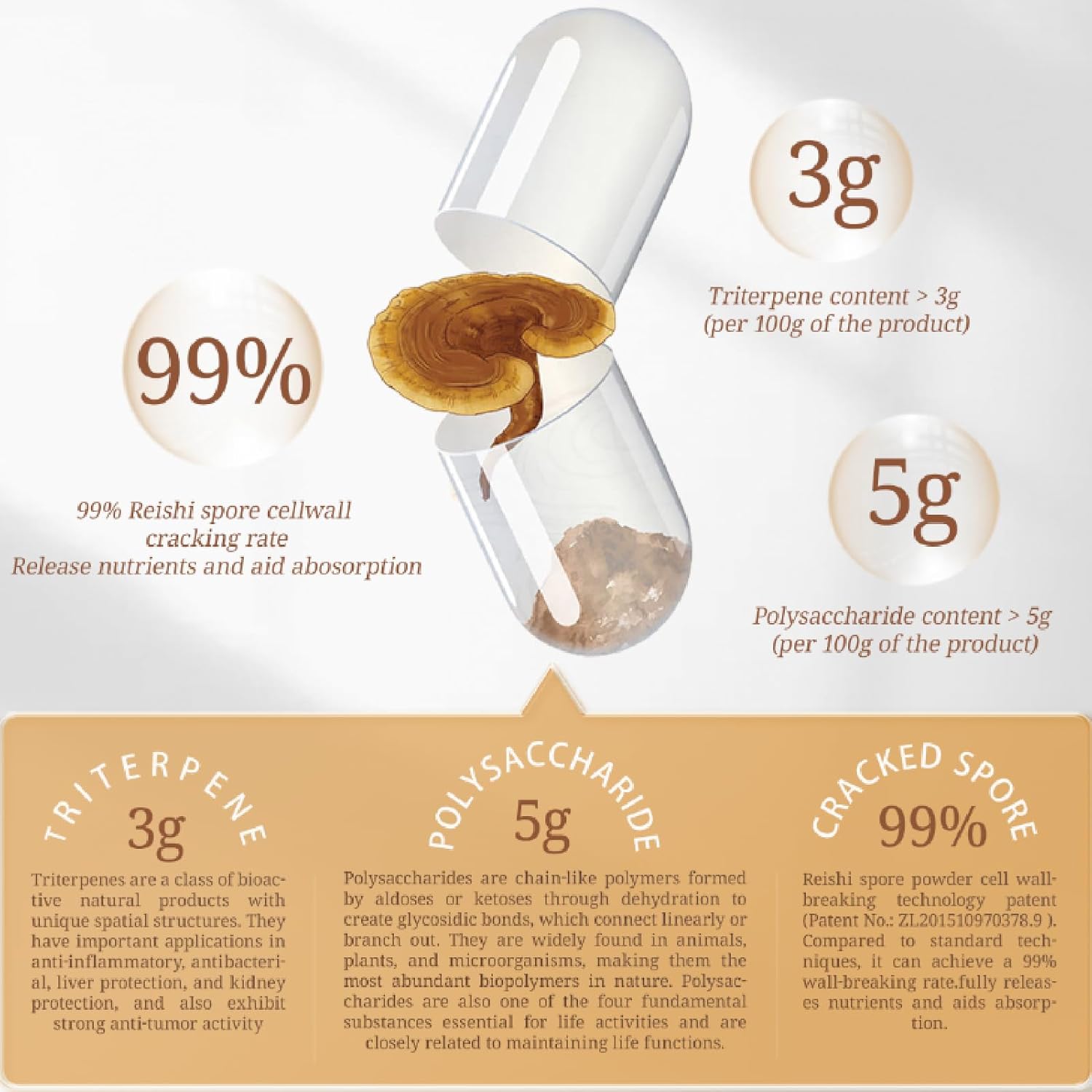 Organic Reishi Mushroom Capsules for Immune Support and Longevity - Vegan, Gluten-Free, Non-GMO Herbal Supplement - 120 Capsules, 1400 mg