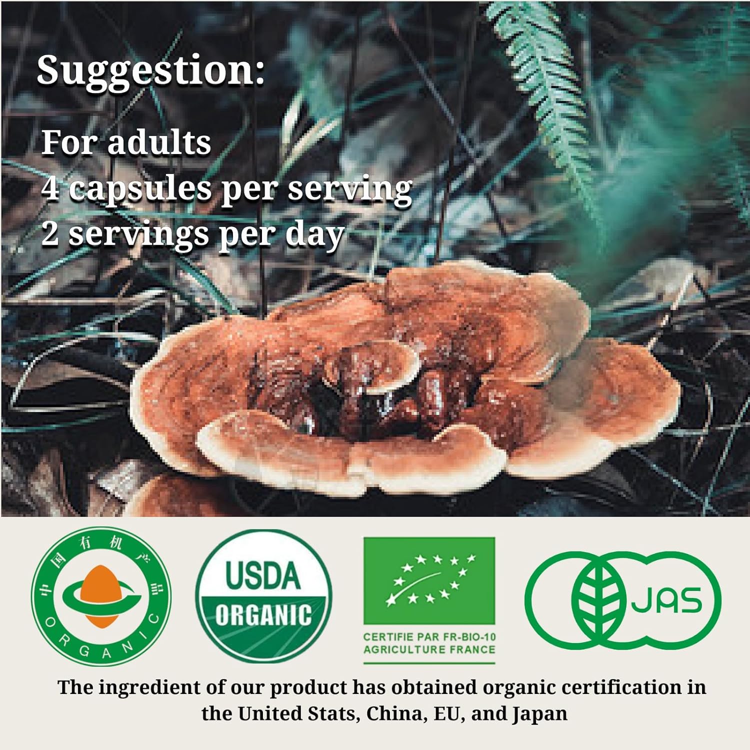 Organic Reishi Mushroom Capsules for Immune Support and Longevity - Vegan, Gluten-Free, Non-GMO Herbal Supplement - 120 Capsules, 1400 mg
