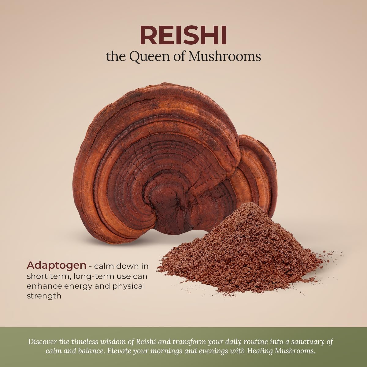 Organic Reishi Mushroom Powder for Immune Support, Longevity, Mood & Sleep - Non-GMO, No Fillers, Pure Supplement