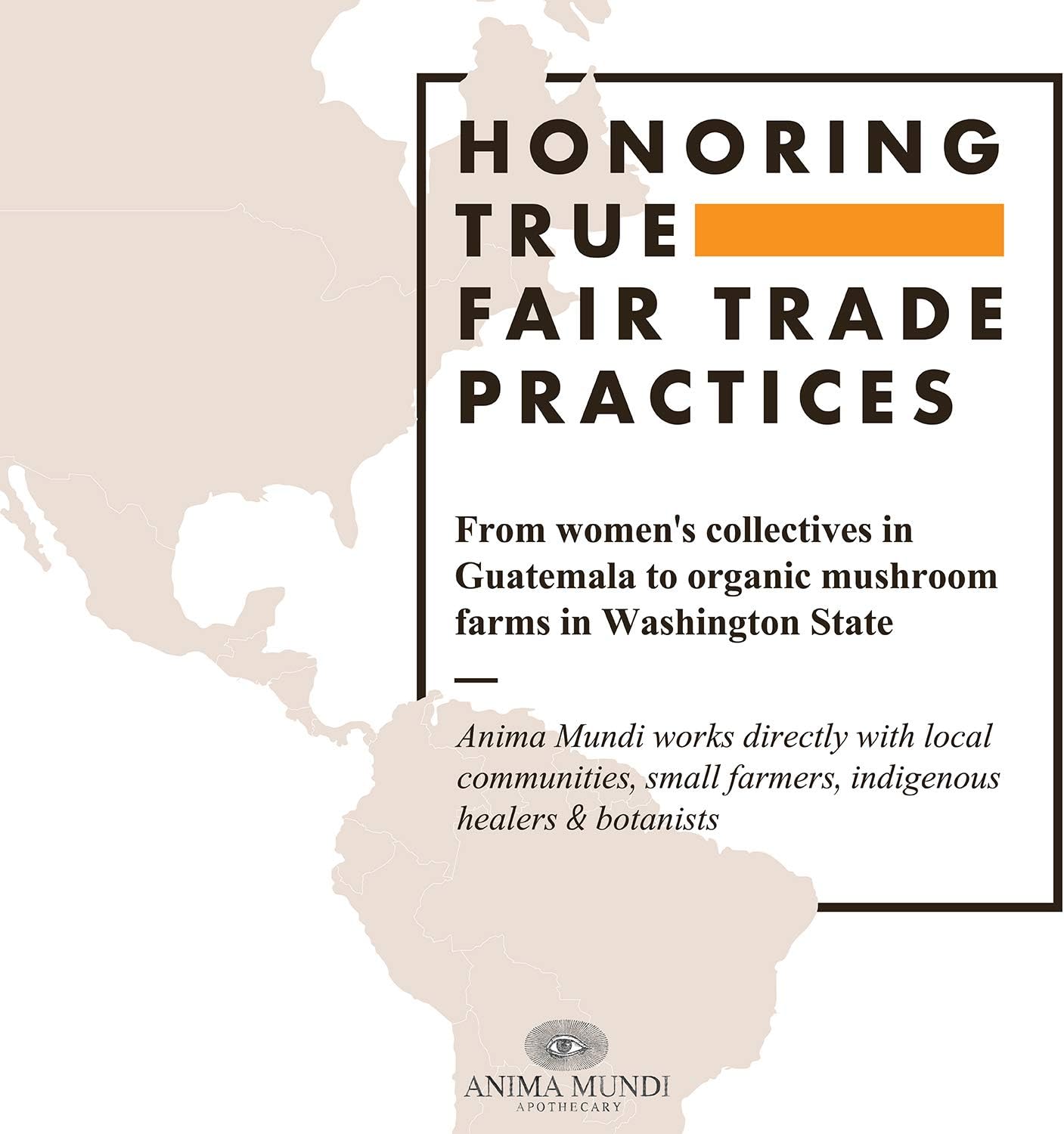 Organic Schisandra Rose Elixir - Adaptogen Supplement for Liver & Kidney Support - 4oz