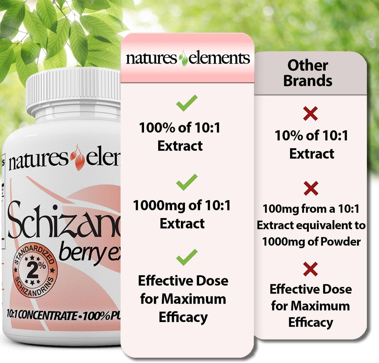 Organic Schizandra Berry Extract Capsules - Pack of 3 - 10:1 Concentration - 500mg Veggie Capsules - One Month Supply