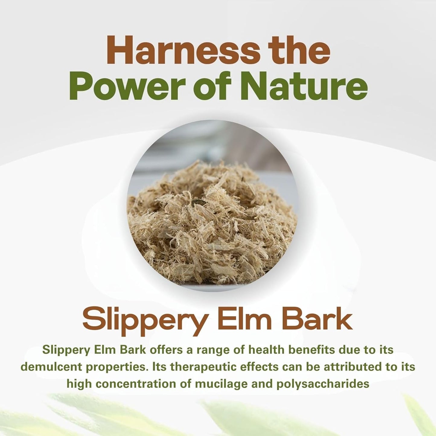 Organic Slippery Elm Bark Extract Powder - 10:1 Concentration - 8oz - Ulmus Rubra Supplement