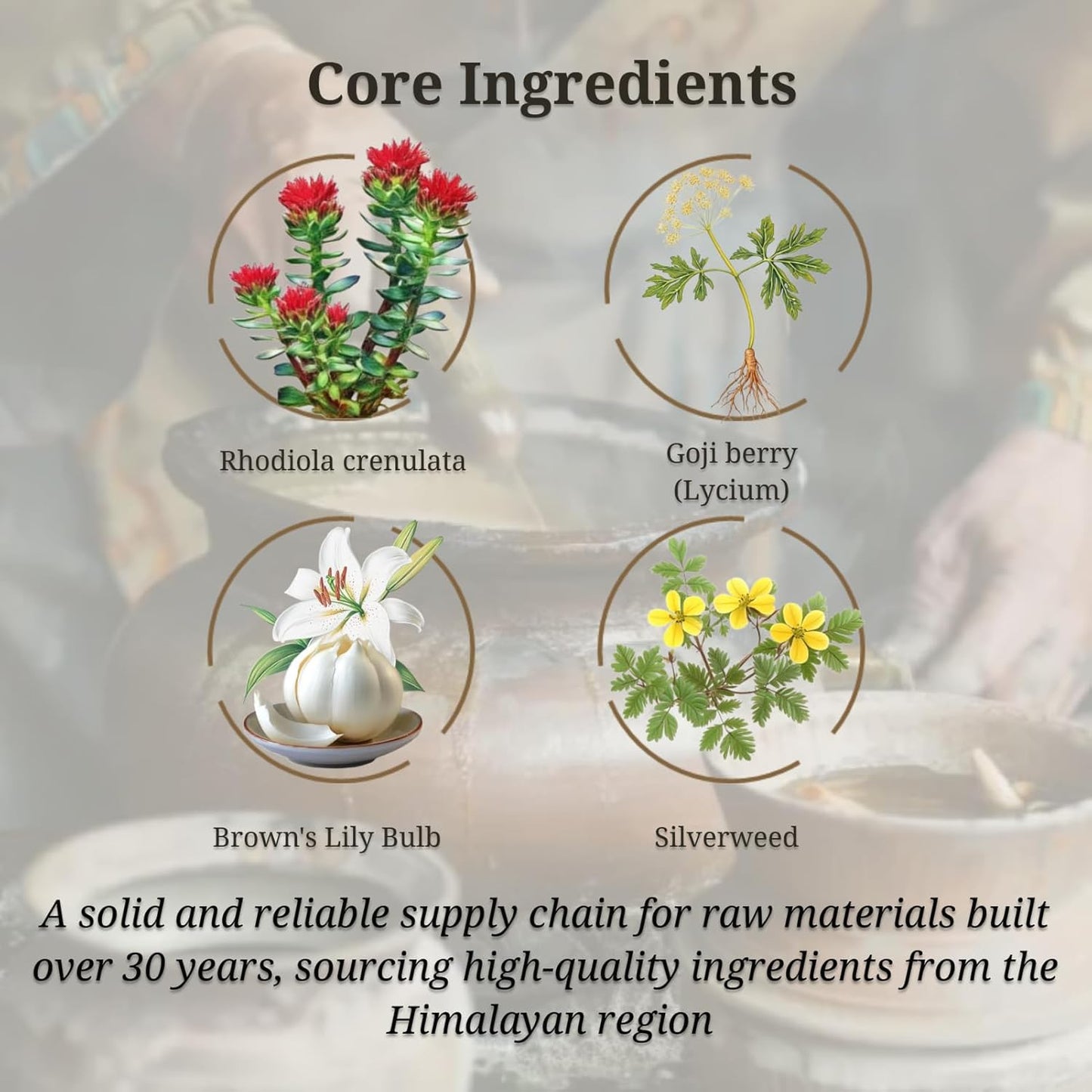 Organic Tibetan Rhodiola and Angelica Sinensis Capsules for Energy, Heart Health, Metabolism - 120 Veggie Caps