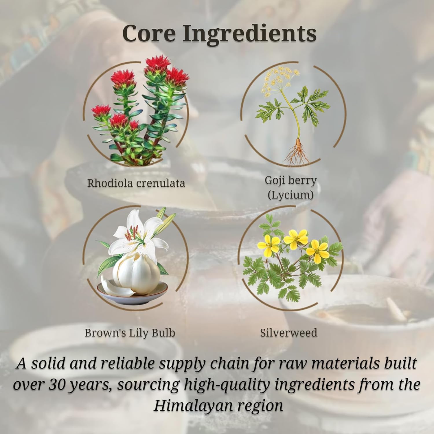 Organic Tibetan Rhodiola and Angelica Sinensis Capsules for Energy, Heart Health, Metabolism - 120 Veggie Caps