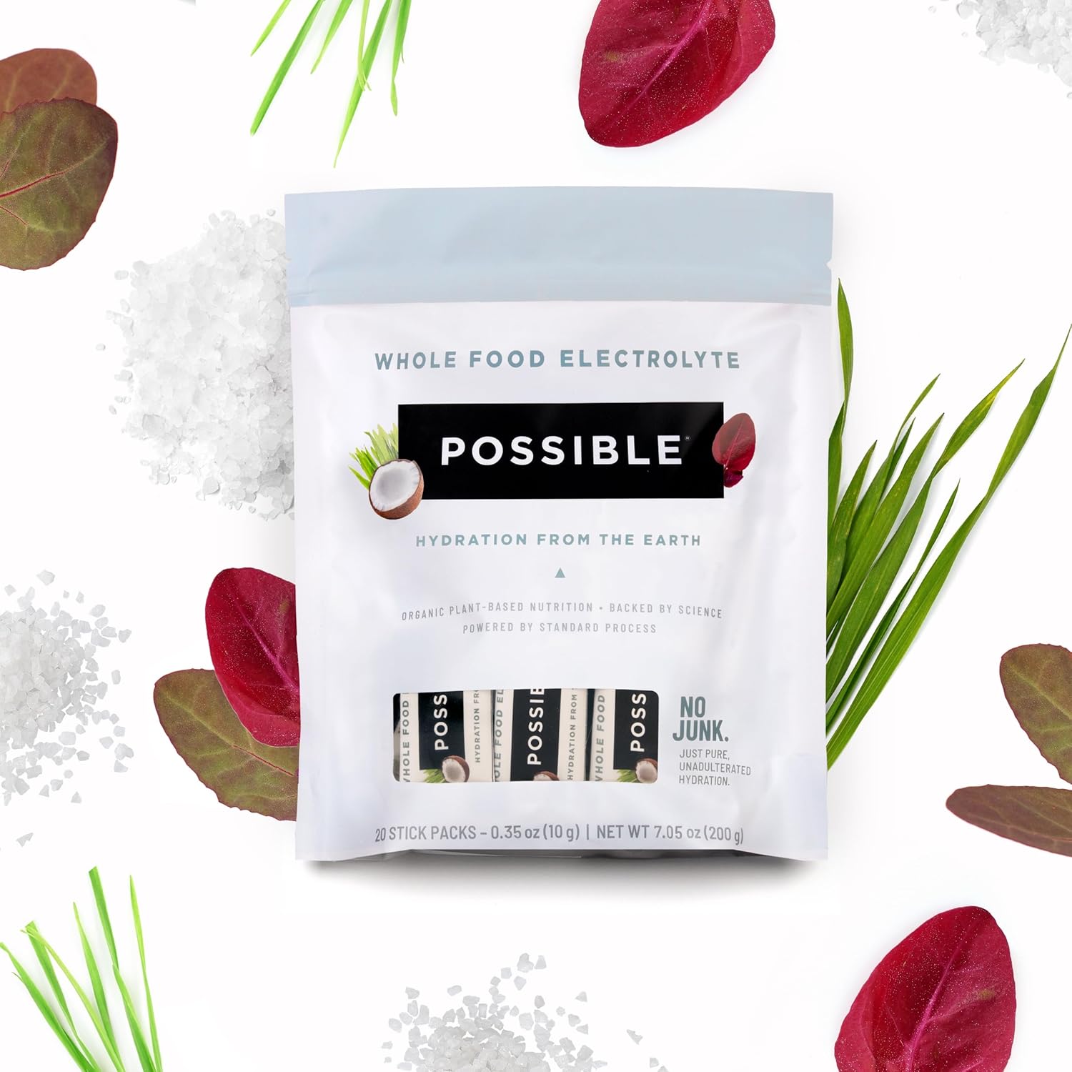 Organic Vegan Electrolyte Powder Mix for Pre & Post-Workout Hydration - Plant-Based, Gluten-Free, Clean Label - 20 Packets