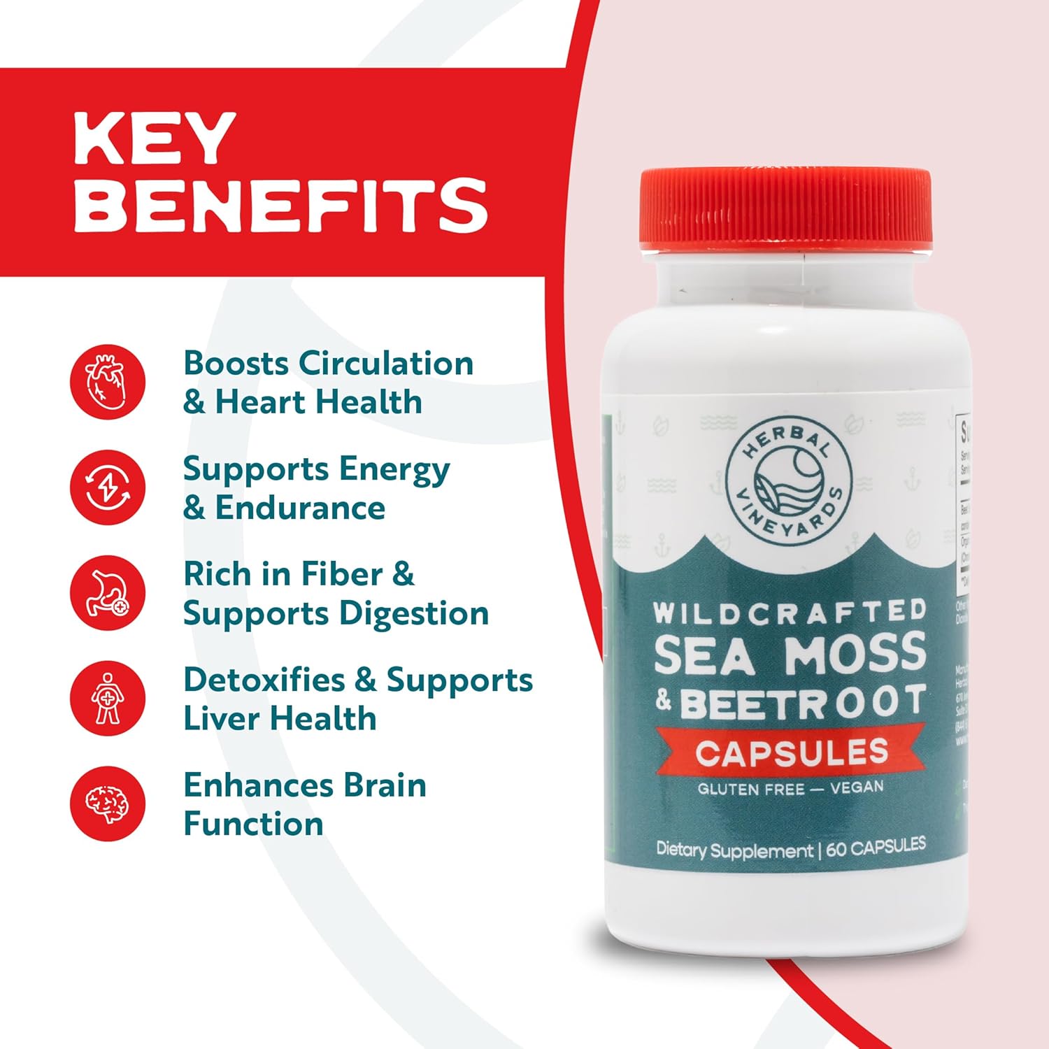 Organic Wildcrafted Sea Moss and Beetroot Capsules for Immune Support, Digestive Health, and Energy | Vegan, Non-GMO, Ethically Sourced