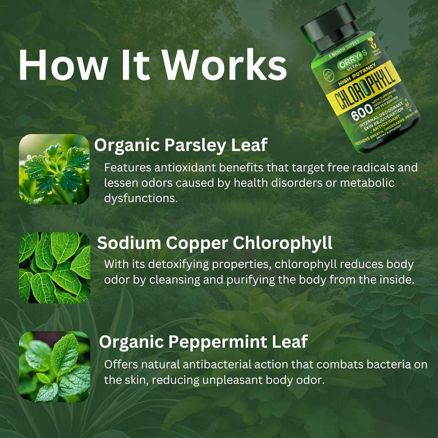 Orry's Vital Chlorophyll Capsules 600 mg - Natural Internal Deodorant to Detox Body Odor, Armpits & Private Parts - Body-Deodorizing Supplement: Supports Immunity and Digestion - 60 Chlorophyll Pills