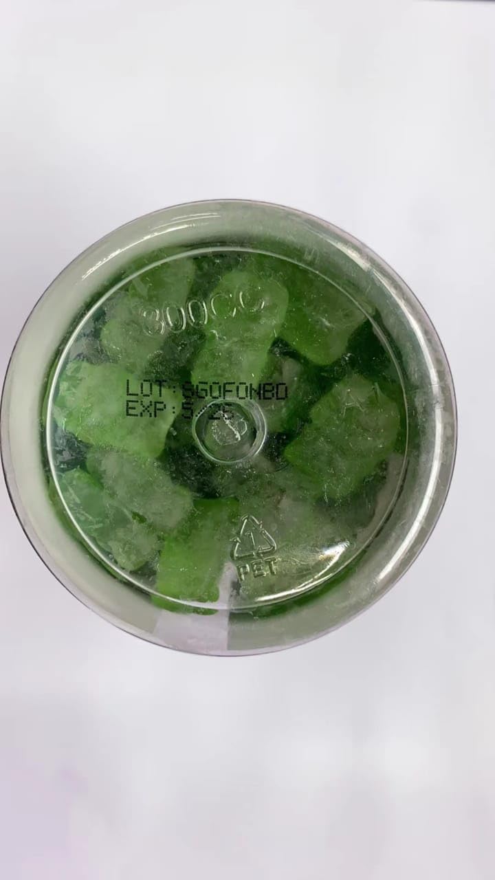 Pack of 2 Sea Moss Gummies by WELLNESS LABSRX for Enhanced Wellness