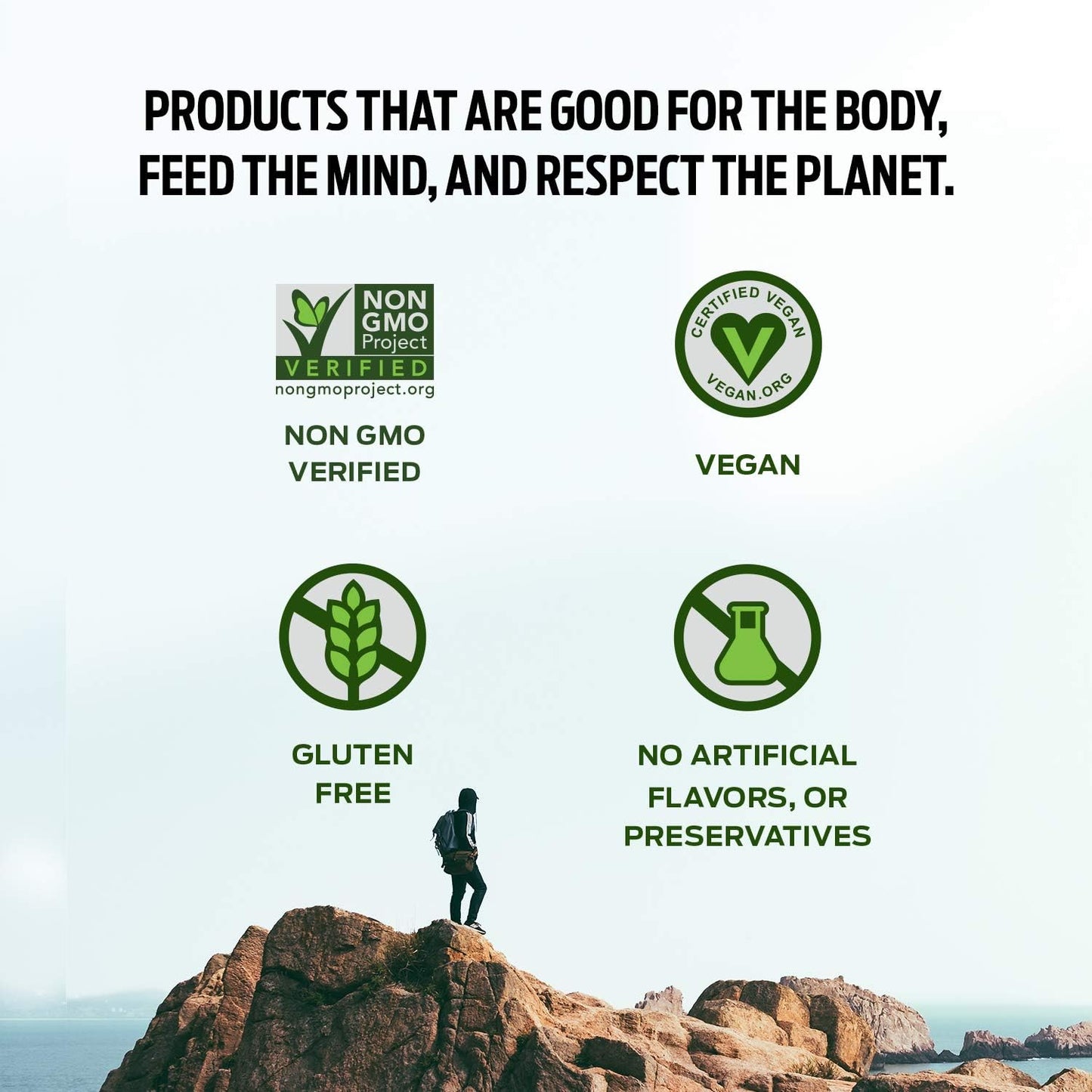 Pack of 2 Vega Protein Made Simple Vanilla Protein Powder - Stevia Free, Vegan, Plant Based, Gluten Free, Pea Protein for Women and Men, 9.2 oz