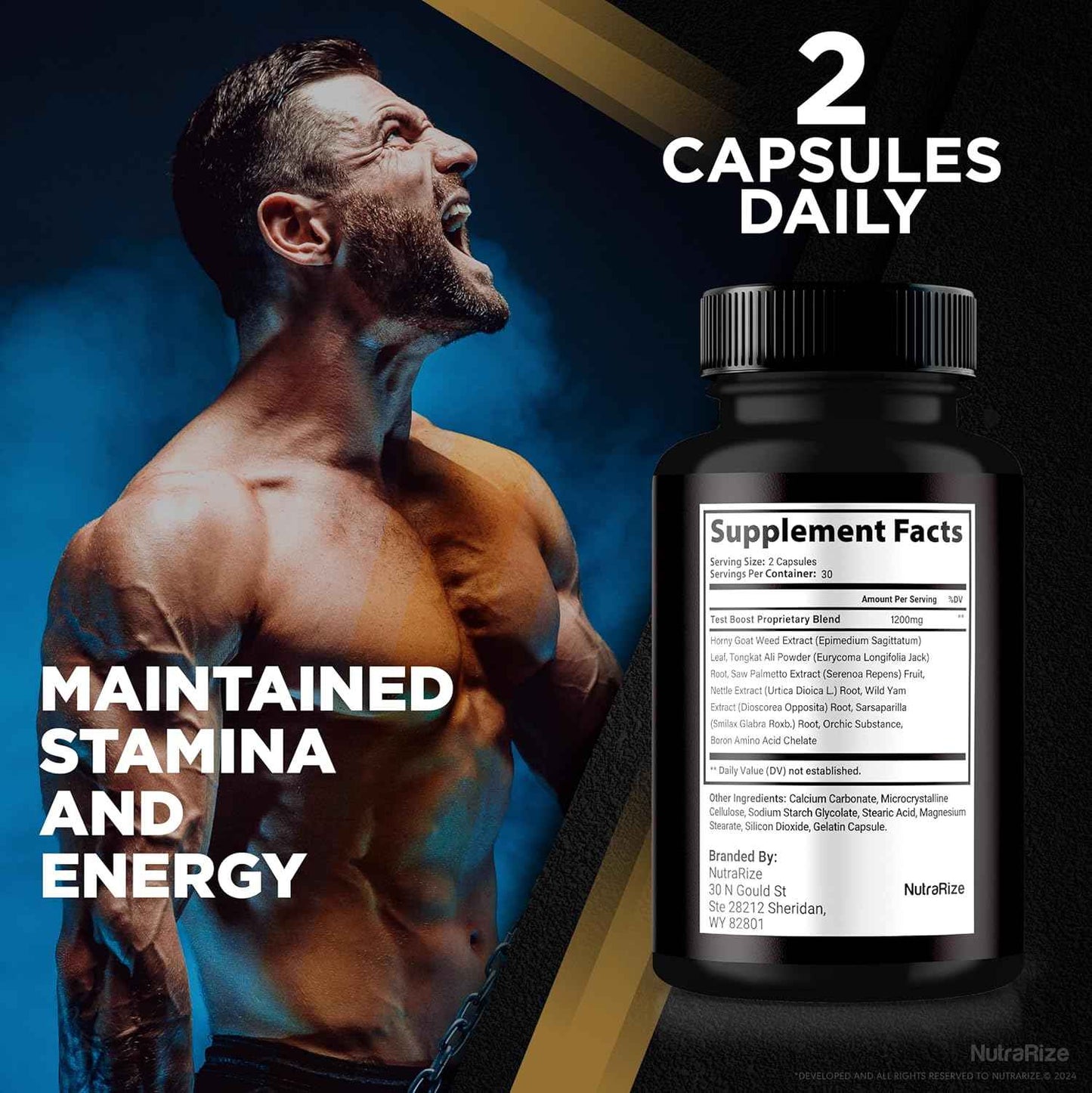 (Pack of 3 True Sterone for Men – All-Natural Daily Formula Made to Support Energy, Confidence, and Balanced Health. Feel Your Best with Just 2 Easy-to-Swallow Pills a Day (180 Capsules)