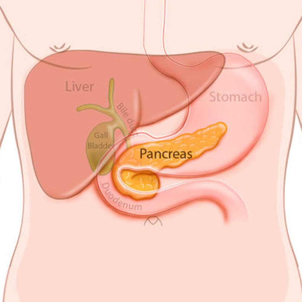 Pancreatic Insufficiency Biotherapy Kit for Chronic Pancreas Inflammation