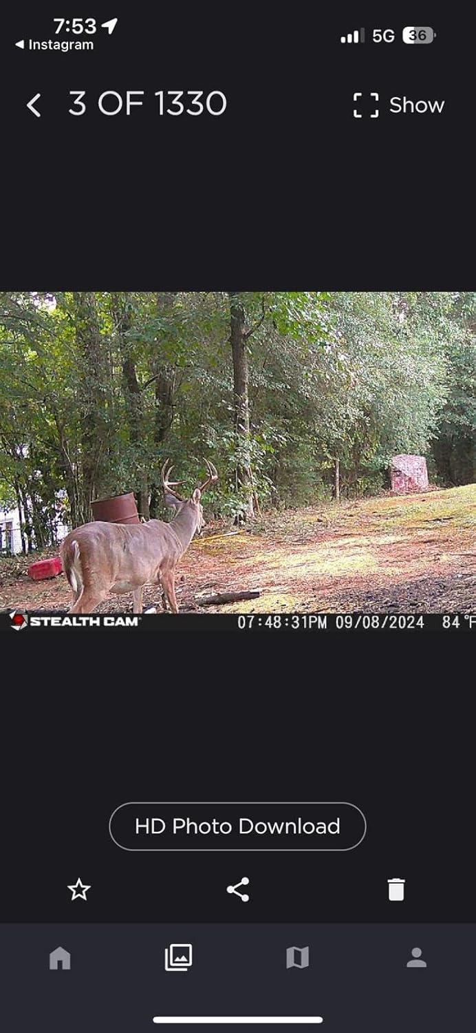 Peanut Power Roasted Peanut Oil Deer Feed Additive for Big Game Hunting - Antler Boost Attractant and Cover Scent