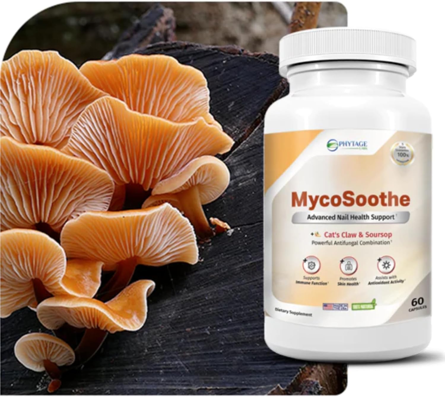 Phytage Labs MycoSoothe Capsules - Advanced Hair, Skin, Nail & Immunity Support Formula - 3 Pack
