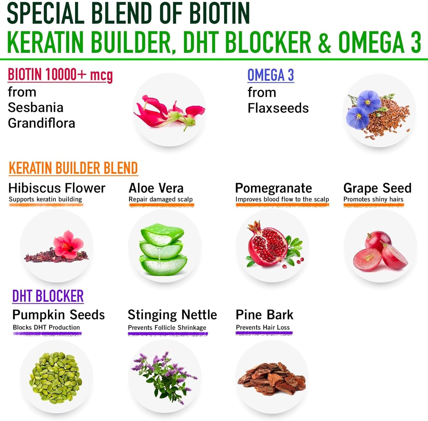 Plant Based Biotin 10000mcg with DHT Blocker, Keratin & Omega 3 - Hair Growth Supplement for Men & Women - Ayurvedic Nutrients - 60 Capsules