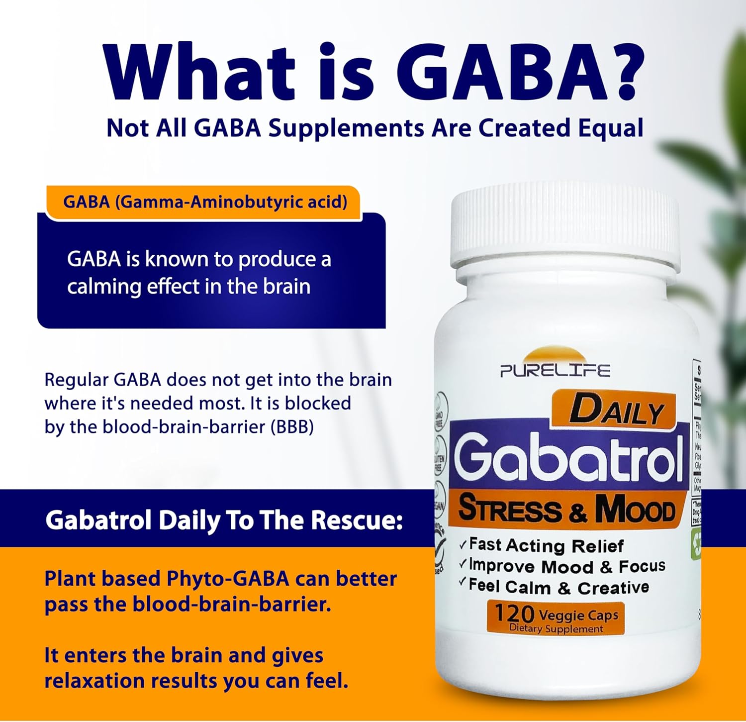 Plant Based GABA Supplement - PureLife Supplements Gabatrol Daily, 120 Veggie Caps, Vegetarian and Vegan Friendly
