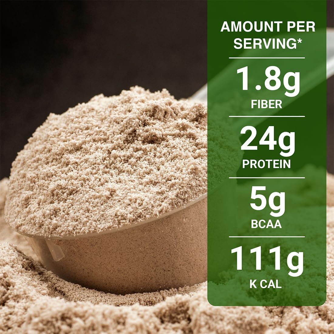 Plant-Based Protein Powder with Pea, Quinoa, Brown Rice - 25g Protein Blend with Ashwagandha, Green Tea, Grape Seed Extract - Chocolate Flavor - 500g Supplement