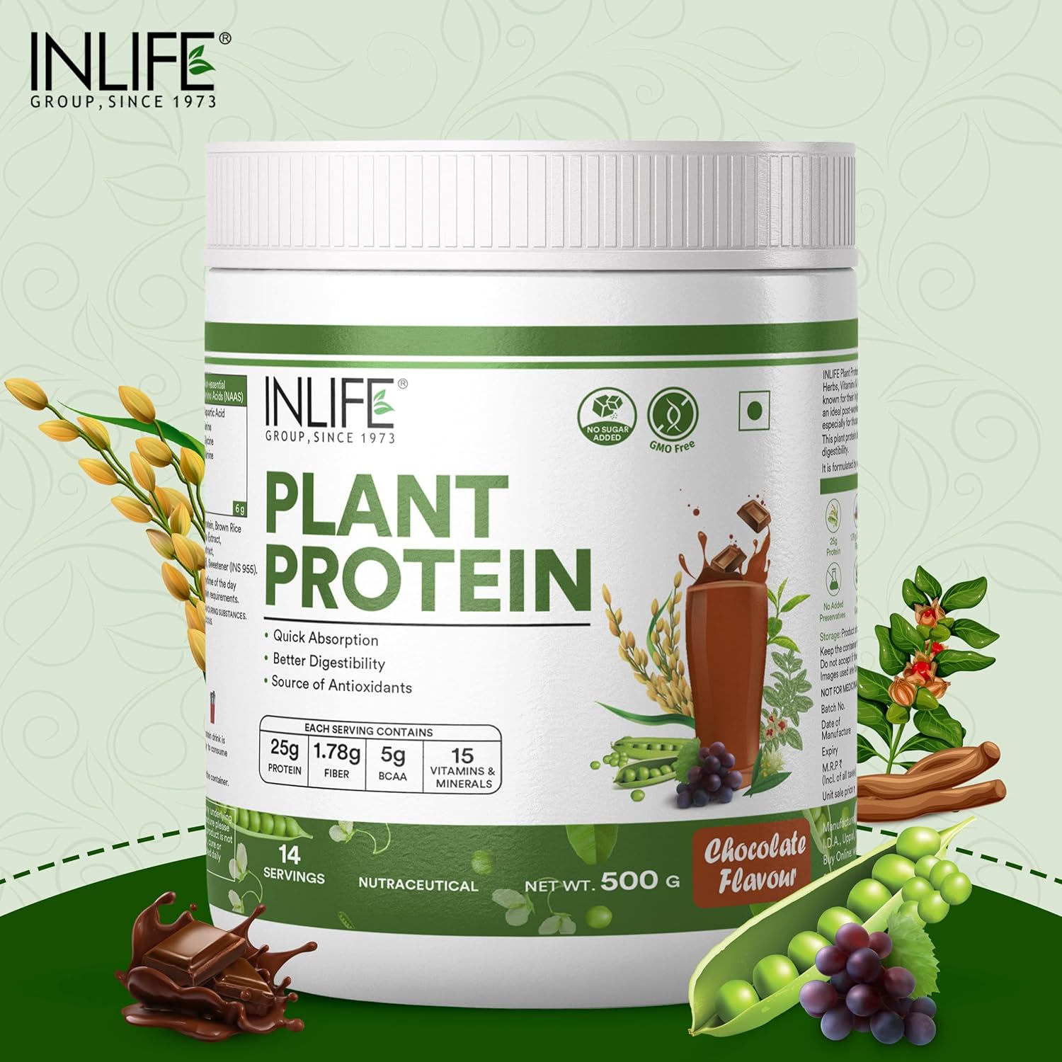 Plant-Based Protein Powder with Pea, Quinoa, Brown Rice - 25g Protein Blend with Ashwagandha, Green Tea, Grape Seed Extract - Chocolate Flavor - 500g Supplement