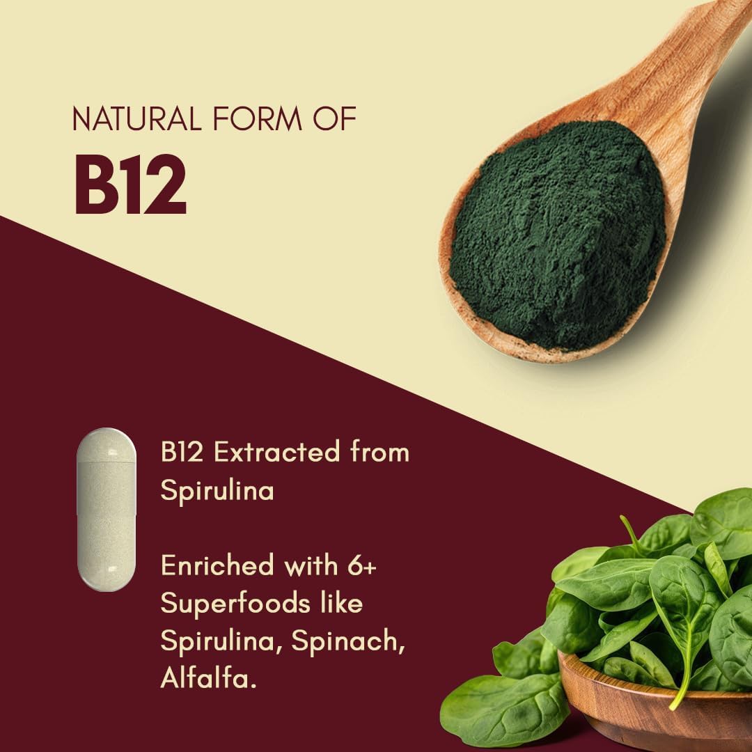 Plant Based Vitamin B12 Supplement for Men & Women | Organic Caplets for Vegetarians & Vegans | Supports Nervous System & Brain Function