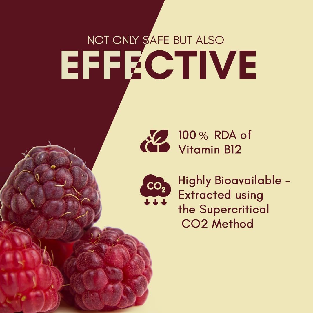 Plant Based Vitamin B12 Supplement for Men & Women | Organic Caplets for Vegetarians & Vegans | Supports Nervous System & Brain Function