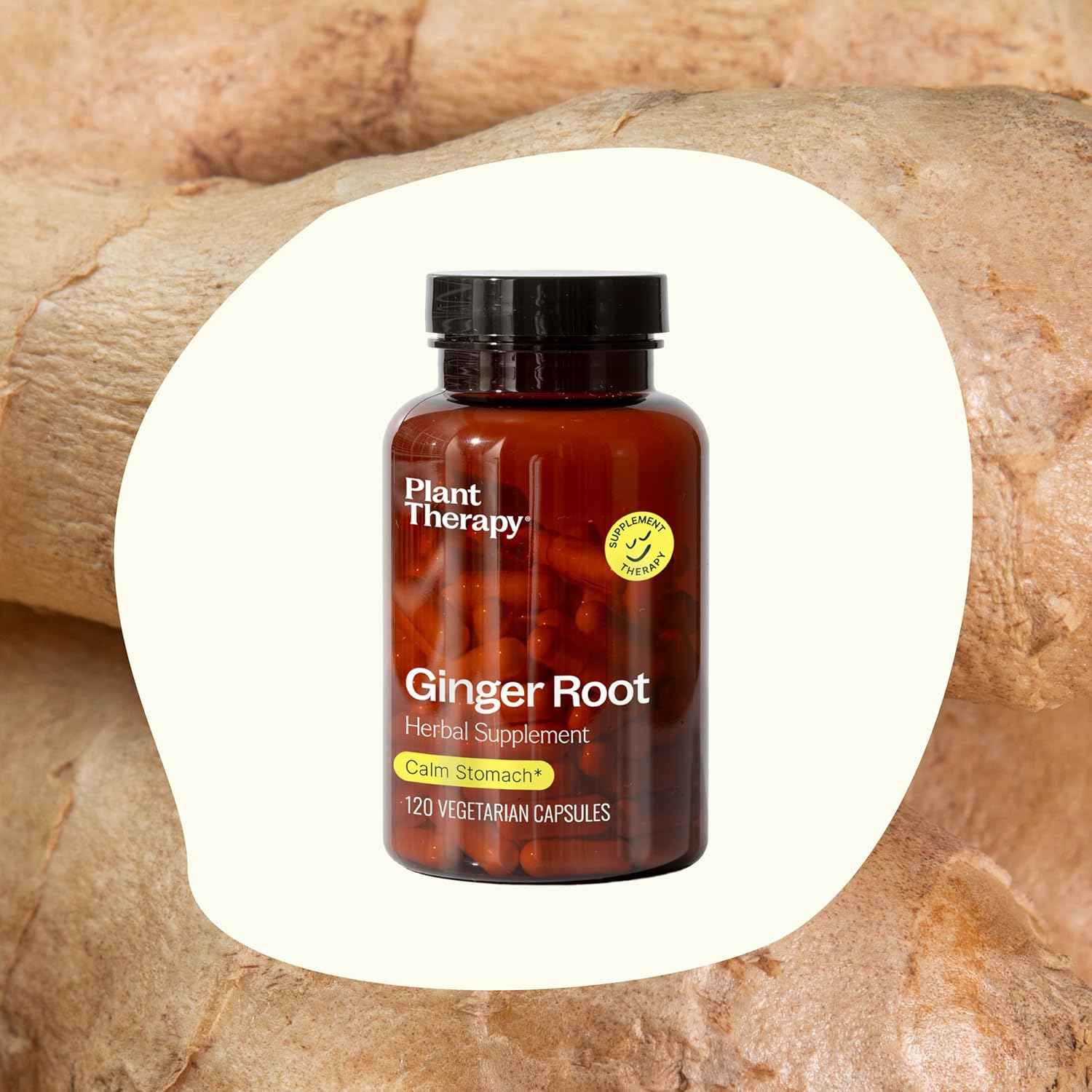 Plant Therapy Ginger Root Capsules Manufactured in USA 4 Month Supply Calms Upset Stomachs, Supports Digestive Immune Health, Potent Extract Supplements for Women & Men 120 Vegetarian Capsule