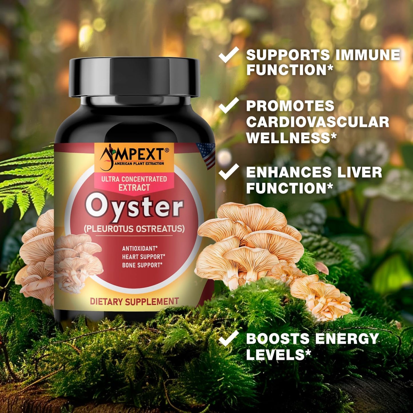 Premium AMPEXT Oyster Mushroom Extract Capsules for Brain, Heart, and Immune Support with Antioxidants - 90 Vegetarian Capsules