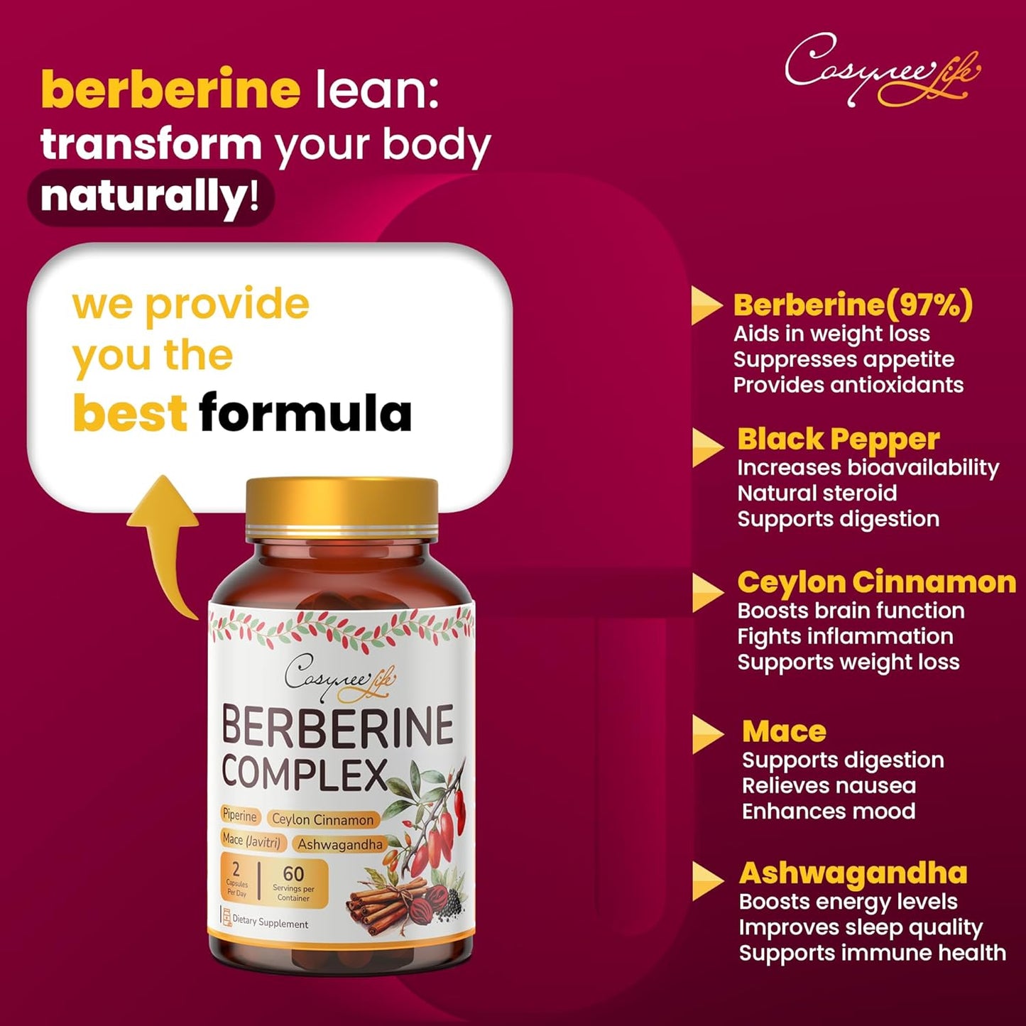 Premium Berberine HCL Capsules with True Ceylon Cinnamon for Immune System Support and Healthy Management - 1200mg, 120 Capsules