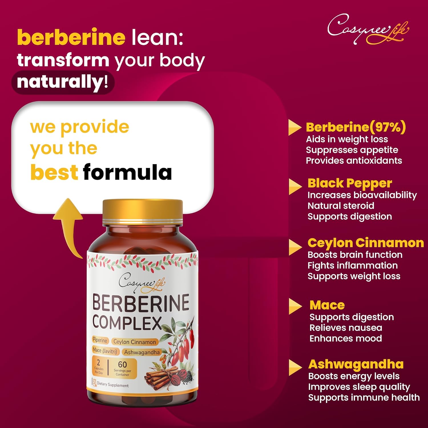 Premium Berberine HCL Capsules with True Ceylon Cinnamon for Immune System Support and Healthy Management - 1200mg, 120 Capsules