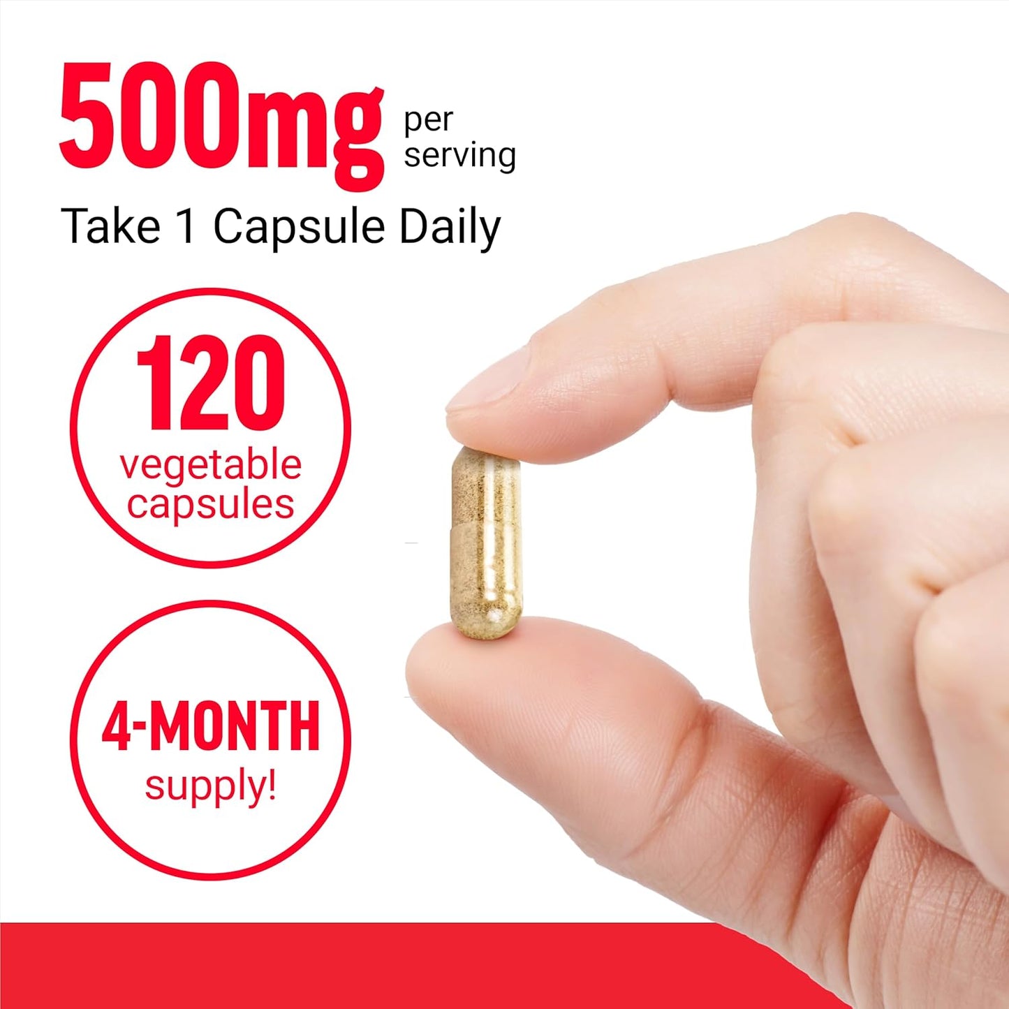 Premium Boswellia Serrata Extract Capsules for Immune Support and Joint Health - Vegan, Non-GMO Supplement for Women and Men, 120 Capsules
