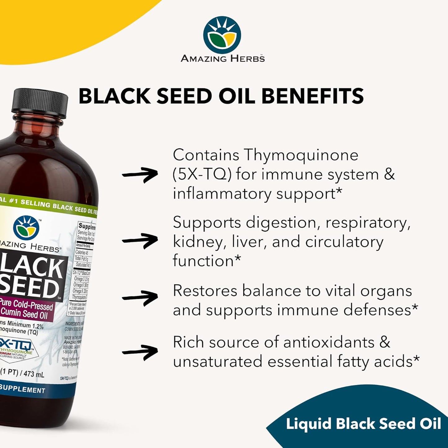 Premium Cold Pressed Black Seed Oil - Gluten Free, Non GMO - Supports Digestive Health, Immune System, Brain Function - 16 Fl Oz (Pack of 2)