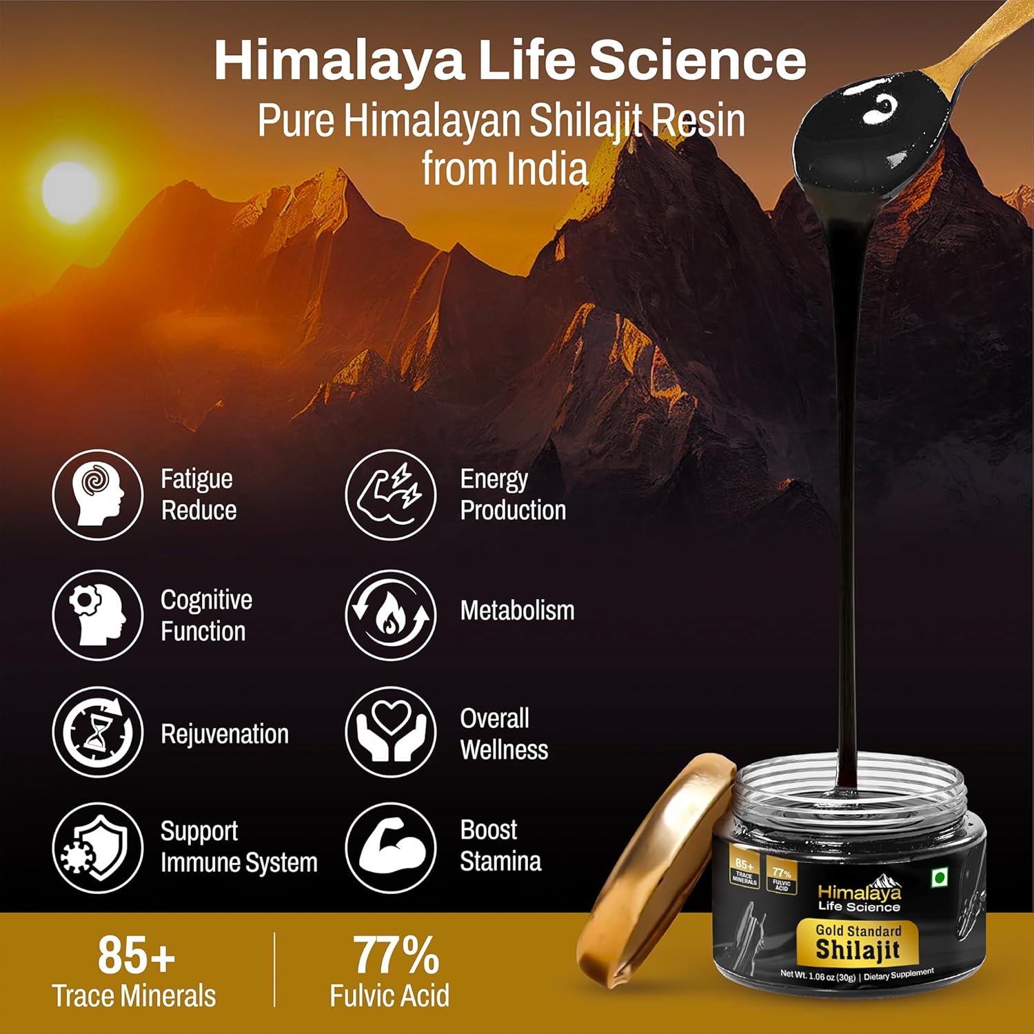 Premium Gold Grade Himalaya Shilajit Resin for Energy Boost | 85+ Trace Minerals, 77% Fulvic Acid, Lab Tested - 30g, 75 Servings