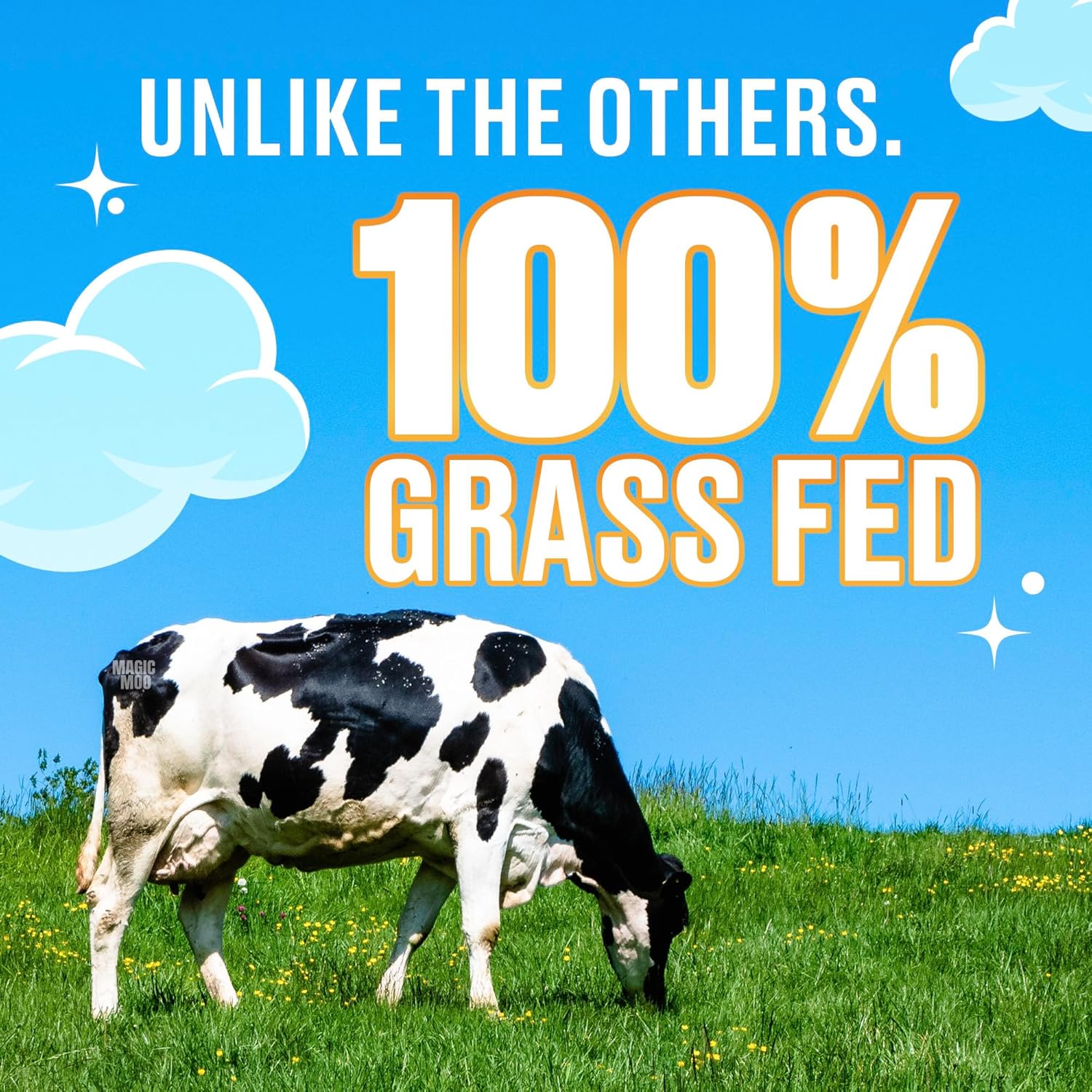 Premium Grass-Fed Bovine Colostrum Powder for Immune & Gut Health Support - Energy, Recovery, Hair, Skin, Nails - 100% Natural, Unflavored - 60g