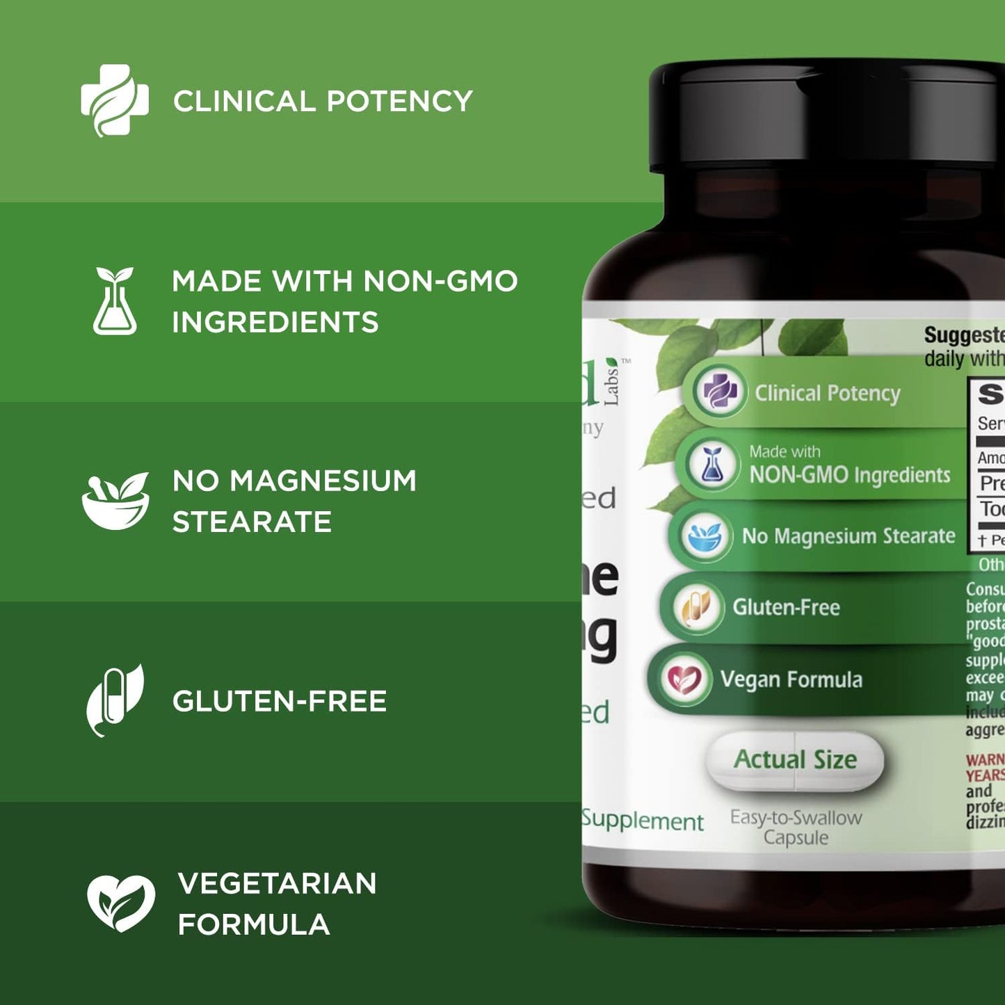 Premium Pregnenolone 50mg Supplement for Brain Health, Immune Support & Hormonal Balance - Gluten-Free - 60 Capsules