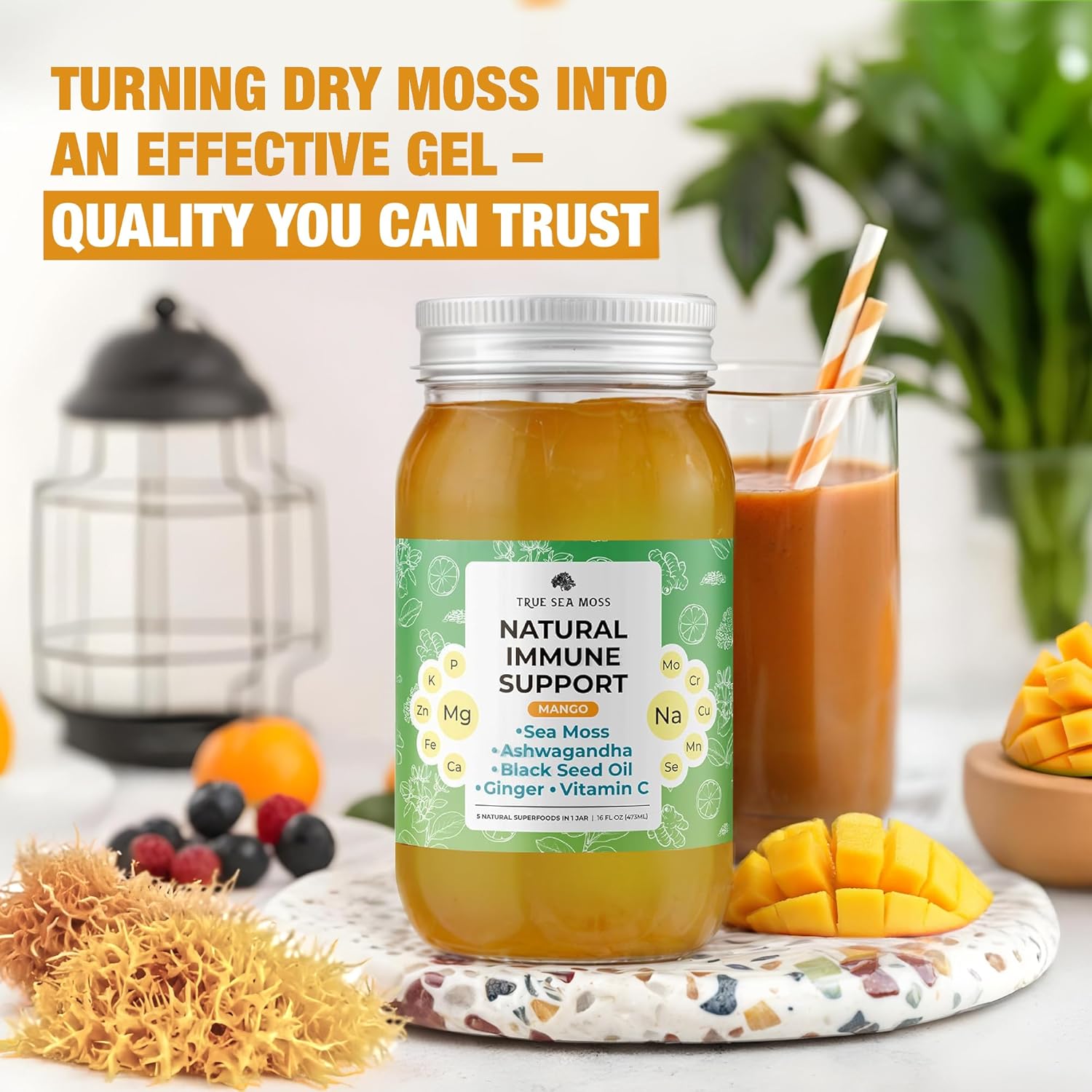 Premium TrueSeaMoss Gel with Immune Support and 5+ Fruit Flavors - Vegan-Friendly Vitamin Supplement with Sea Moss, Potassium, and Rich Minerals - Made in USA - Mango Flavor - 1 Pack