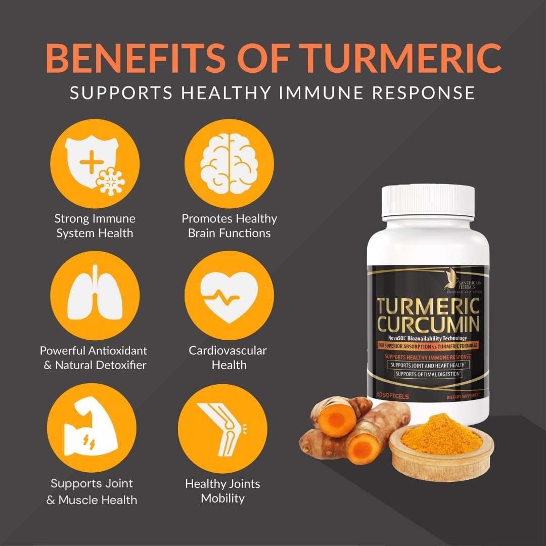Premium Turmeric Curcumin NovaSOL Supplements - 1000mg for Joint Mobility & Immunity