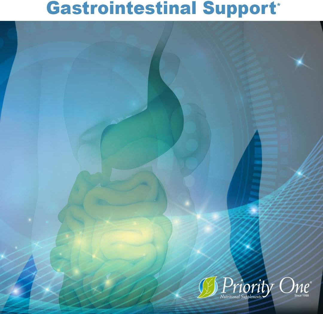 Priority One Vitamins Enzy Gest 120 Tablets - Supports Healthy Digestion and Intestinal Enzyme Activity with Two-Phase Formula