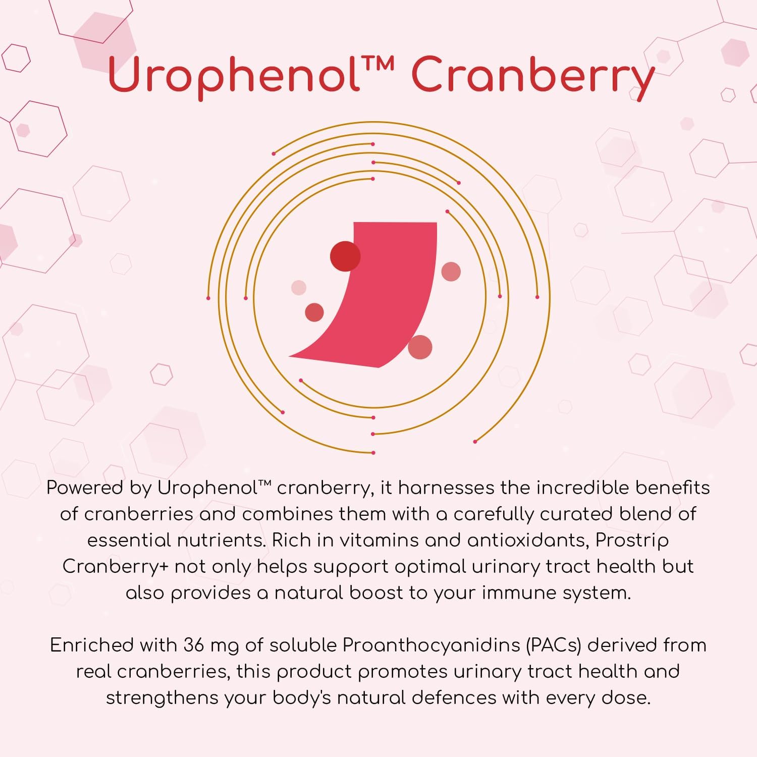 Prowise Healthcare PROSTRIP® Cranberry Urophenol™ Oral Vegan Strips with Proanthocyanidins & Essential Vitamins - 30 Strips