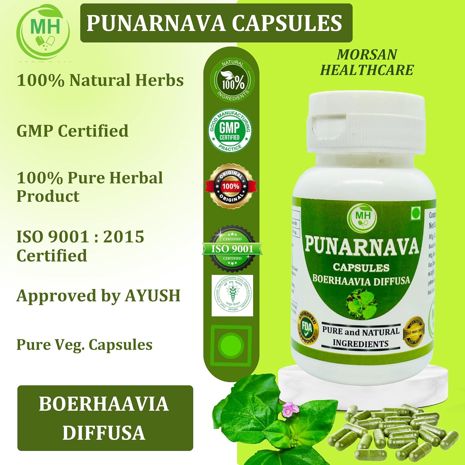 Punarnava Capsules - Natural Herbal Veg. Capsules, Pack of 60 x 500 mg by Morsan Healthcare