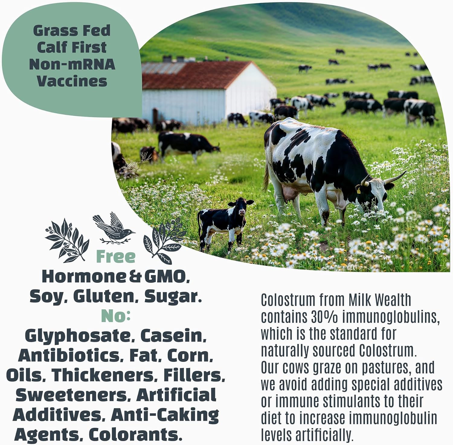 Pure Bovine Colostrum Superfood with Immune Support - Freeze-Dried, Unflavored, Nutrient-Rich, 25 Packets (2g Each), 50g Total Weight