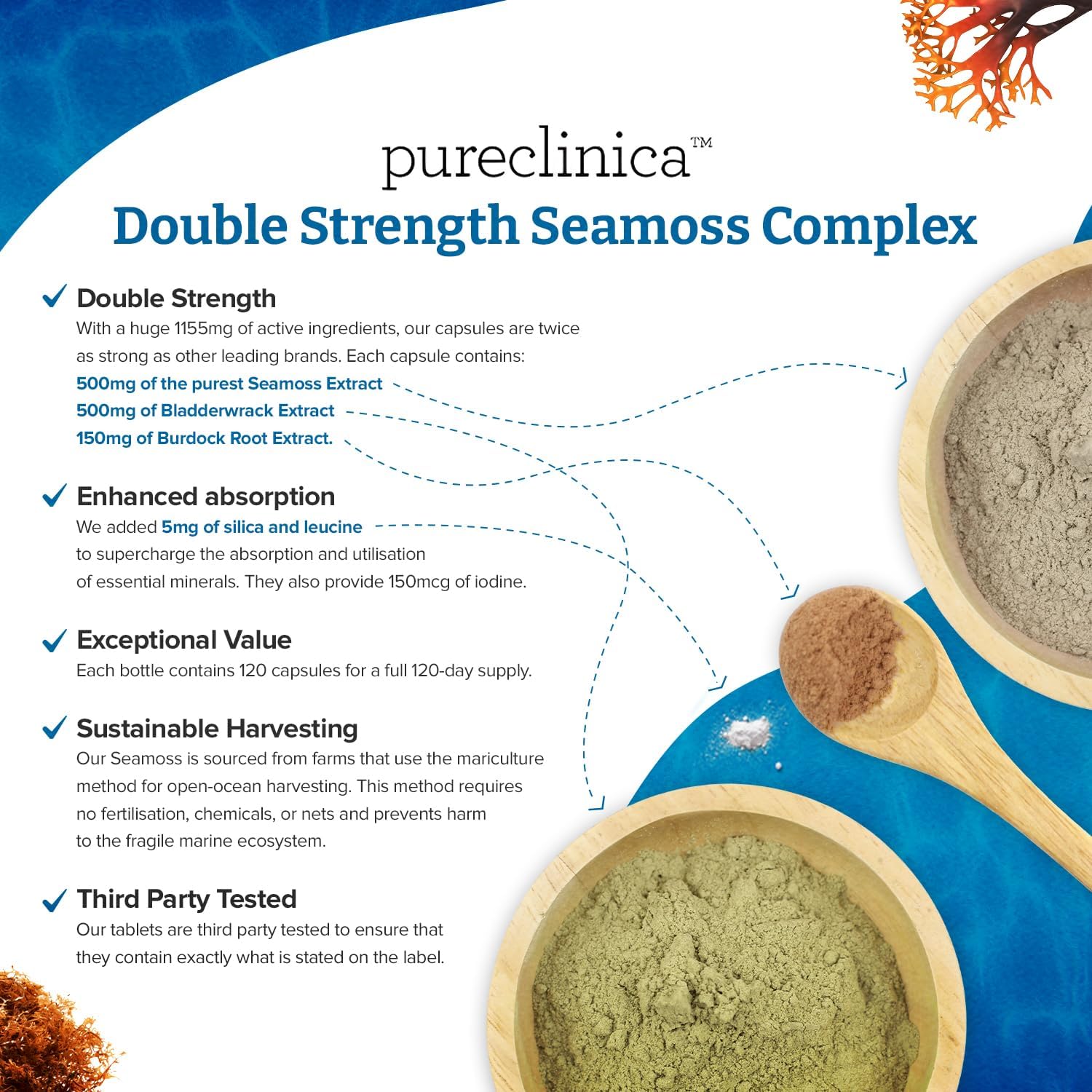 pureclinica Double Strength Seamoss Complex Capsules - 1155mg x 240 (2 Bottles of 120) - 8 Month Supply - Seamoss, Bladderwrack, Burdock Root