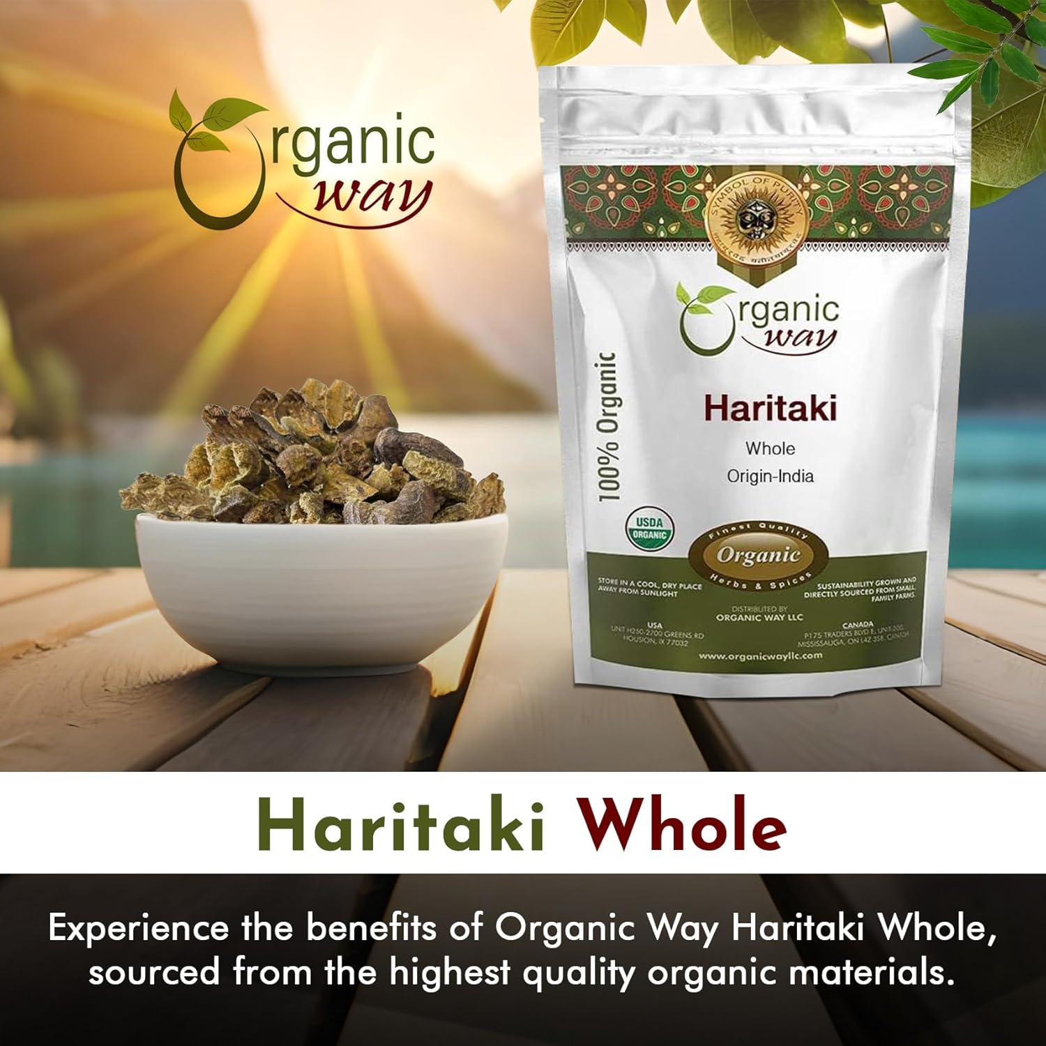 Raw Organic Haritaki Whole - Terminalia Chebula (Yellow Myrobalan) from India - 100% Kosher & USDA Certified - Vegan, Non-GMO, Gluten Free - 16 oz