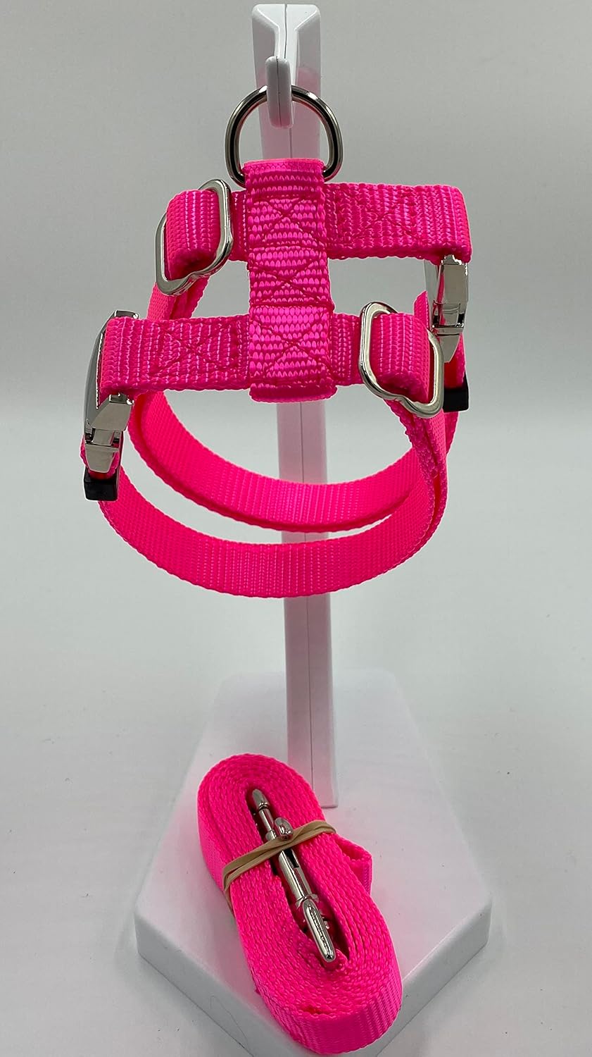 Red Medium Handmade Pig/Hog Harness with Longer Backstrap and Matching Leash