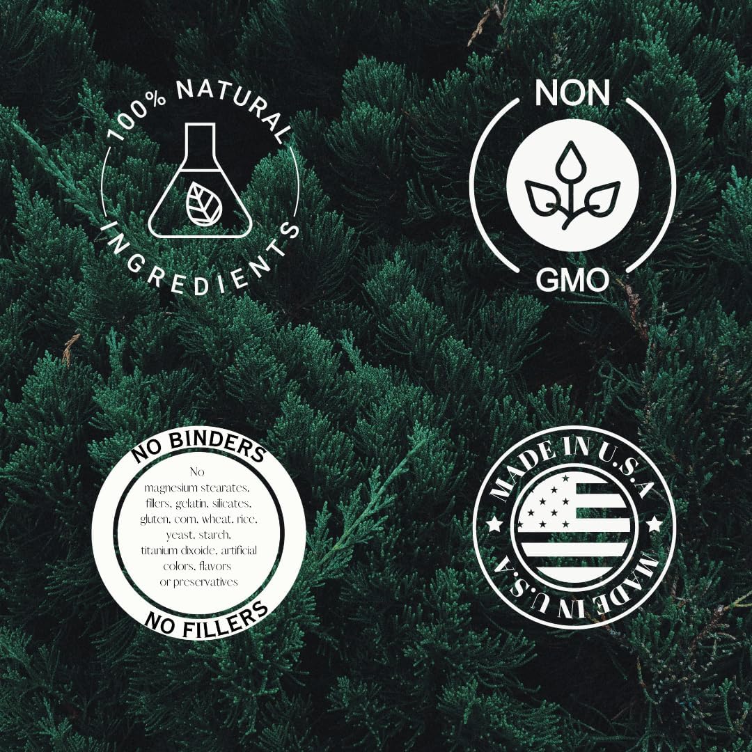 Sea Buckthorn Extract Capsules | CyanthOX 30™ | 600mg per Capsule | Skin, Immune, & Digestive Support | 60 Vegan Capsules | Glass Bottled Formula by Barlowe's Herbal Elixirs