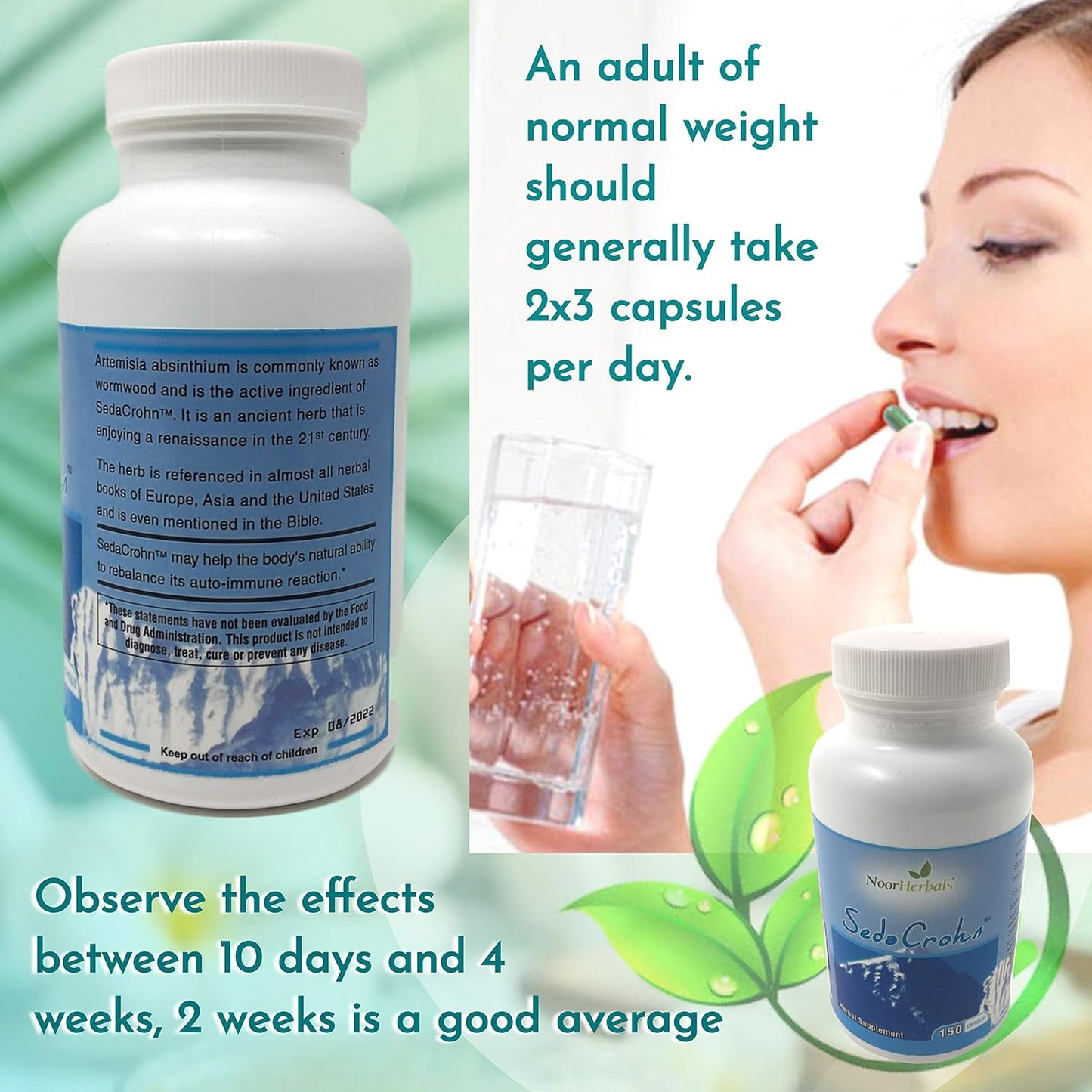 SedaCrohn - Natural Relief for Crohn's Disease and Ulcerative Colitis